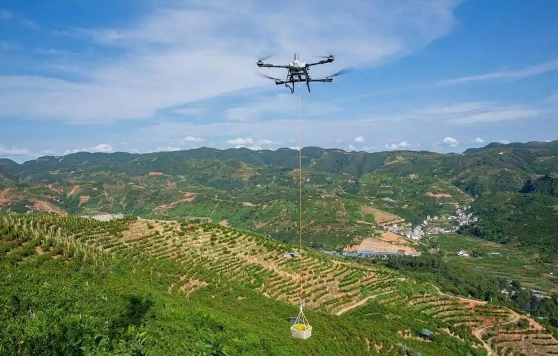 大疆农业无人机在山区吊运脐橙. 大疆农业无人机在山区吊运脐橙.